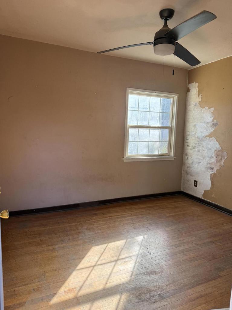 45671 Deglet Noor Street