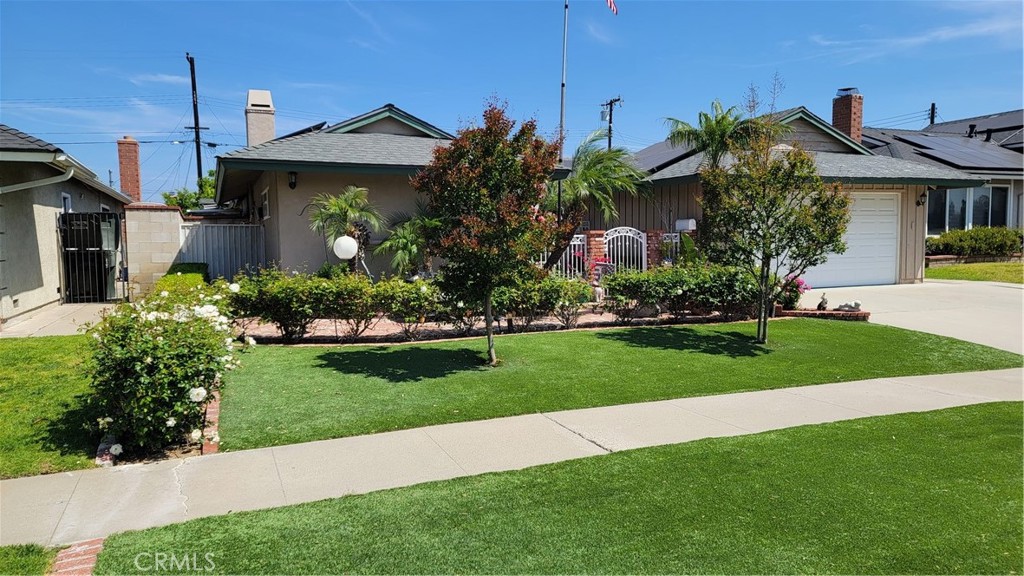 943 Berkenstock Lane