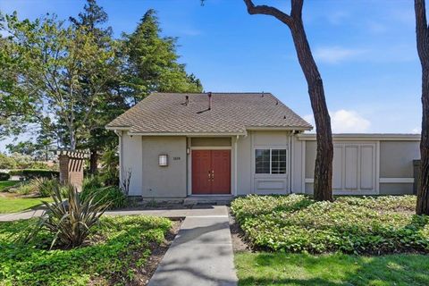 Photo of 1324 Star Bush Lane, San Jose, CA 95118 (MLS # ML82042388)