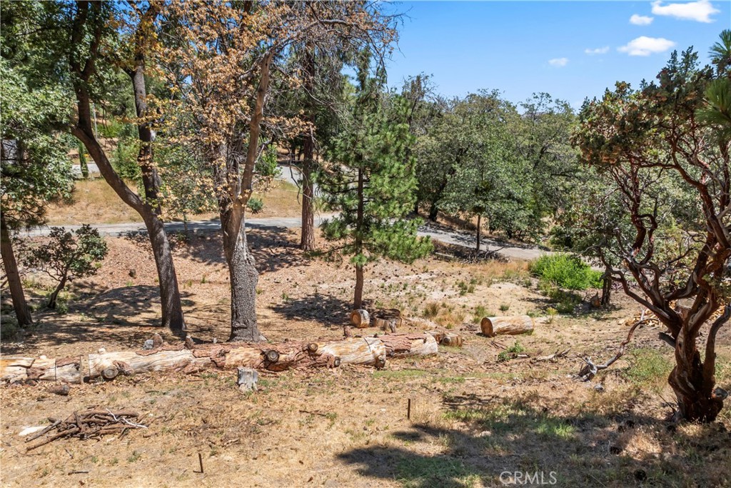 Deer Lodge Park (DLPK) - Land