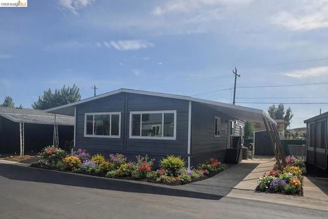 Photo of 3645 Hawthorne Dr, Bethel Island, CA 94511 (MLS # 41132288)