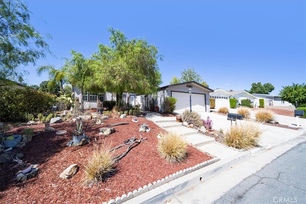 34159 Olive Grove Road