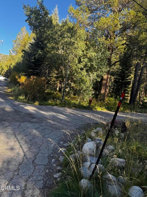 Photo of Lot 1 Aspen Grove Lane, June Lake, CA 93529 (MLS # V1-38993)