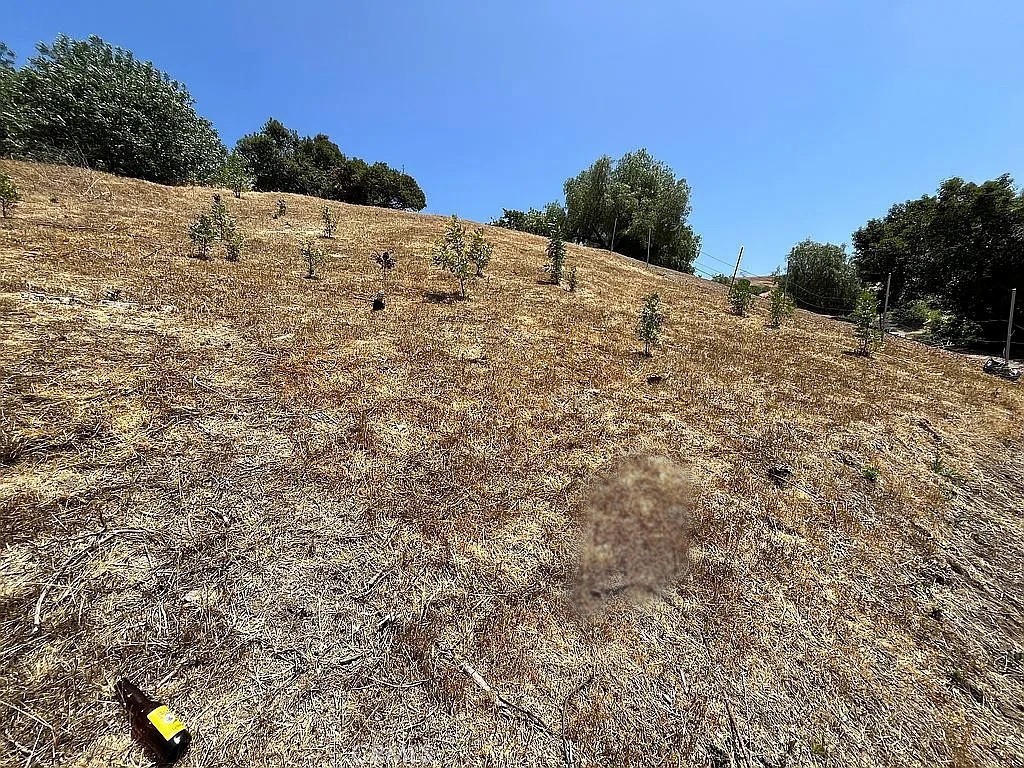 Build Your Dream Home with a View at 3135 Eva Terrace, Los Angeles, CA 90031 Discover an exceptional opportunity to create your own hillside sanctuary on this expansive 9,865 sq ft residential lot, nestled in the heart of Lincoln Heights. One of Los Angeles' most historic and culturally rich neighborhoods, perched on a gentle slope, this parcel offers panoramic skyline views that capture the vibrant essence of Downtown LA, providing a daily backdrop that's nothing short of inspiring. Key Features: Build-Ready: Sale includes comprehensive survey, soil, and Topographic reports, streamlining the permitting process and saving valuable time. Prime Location: Situated in Lincoln Heights, just 3 miles from Downtown Los Angeles, offering a perfect blend of urban convenience and neighborhood charm. Generous Lot Size: Nearly 10,000 sq ft of land provides ample space to design and build a custom residence tailored to your vision. Stunning Views: Enjoy sweeping vistas of the Downtown LA skyline, ensuring your future home is bathed in natural light and cityscapes. Accessible Terrain: The moderate slope is ideal for creative architectural designs, such as multi-level homes with terraced gardens or expansive decks. Community Vibe: Surrounded by friendly neighbors and a strong sense of community, Lincoln Heights offers a welcoming environment for families and individuals alike. Convenient Access: Direct road access from Gillig Ave ensures easy connectivity to major thoroughfares and public transportation.