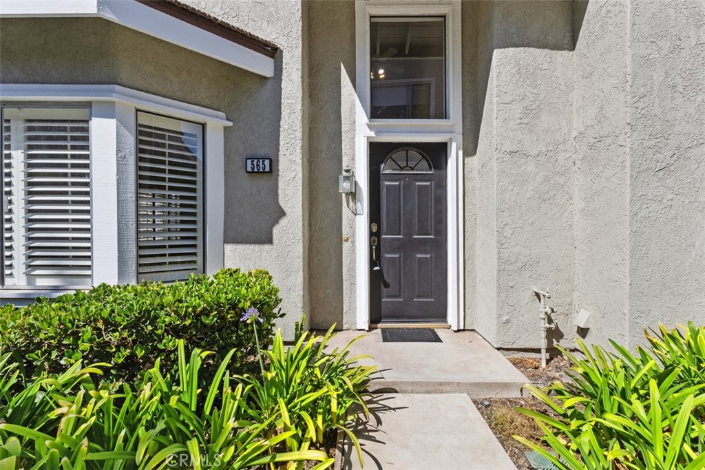 565 Springbrook N