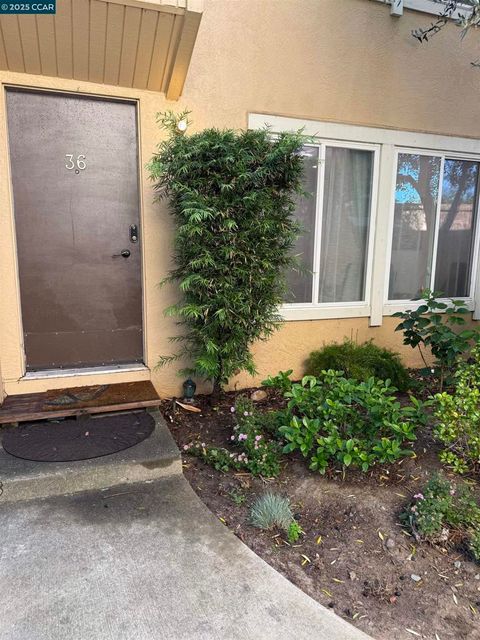 Photo of 3055 Treat Blvd Blvd #36, Concord, CA 94518 (MLS # 41116491)