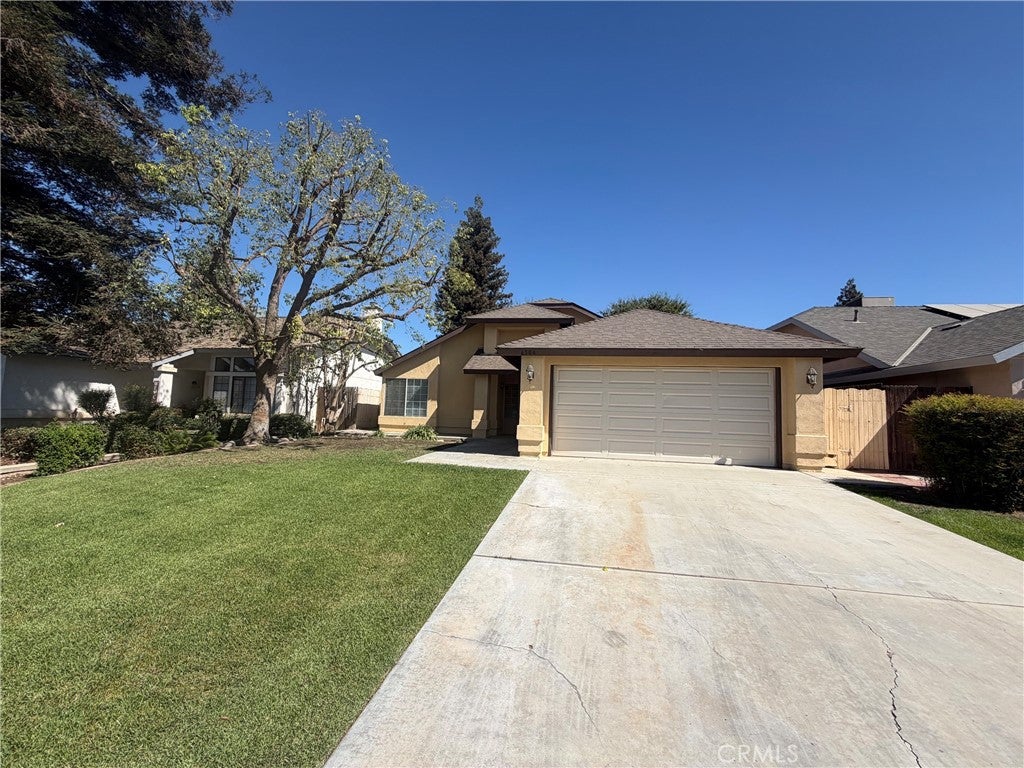 6504 Quaking Aspen