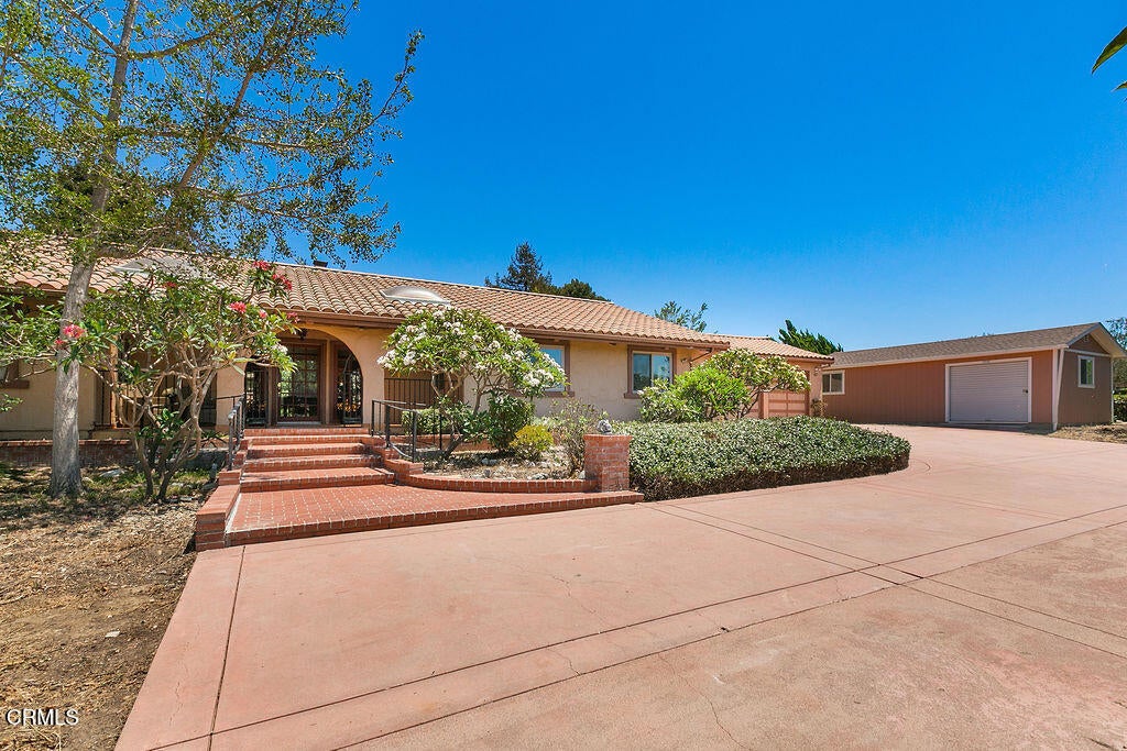 567 Avocado Place