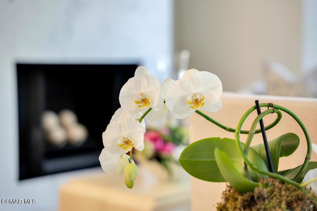 Westlake Bay-728 - 728 - Residential Lease