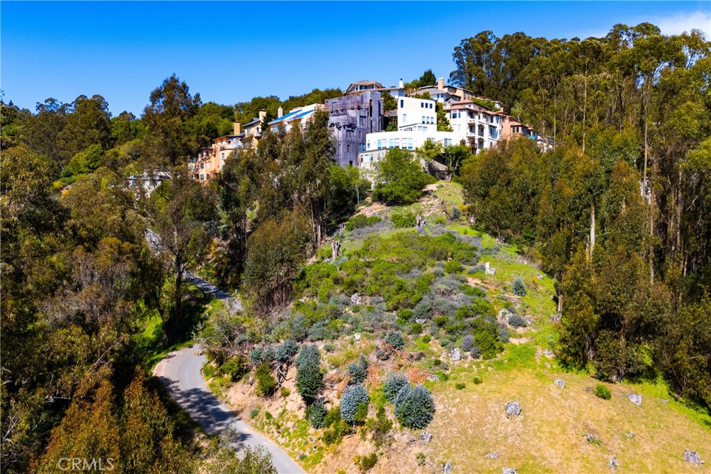 Panoramic views in all directions from this lot up in the Oakland hills in the desirable Montclair area! Nearby homes in this upscale neighborhood have recently sold between $1.4 and $2.5 M. The back portion of the lot is forested, preserving your privacy. The lot is located a few blocks from still more green space, including the Sibley Volcanic Regional Preserve and the Huckleberry Botanic Regional Preserve. The Montclair Swim Club is just 4 minutes away, and Trader Joe's and Whole Foods are 15 minutes away. Water and electricity are available in the street. Septic is needed. Zoning on this 0.23-acre lot is Residential Hillside, which allows one single-family home. The seller has no reports or plans. Boundaries in the aerial map are only approximate. This lot is being offered for a fast sale at a bargain price well below the current tax assessed value of $231,000 and the historic appraised value of $350,000. Go check it out!