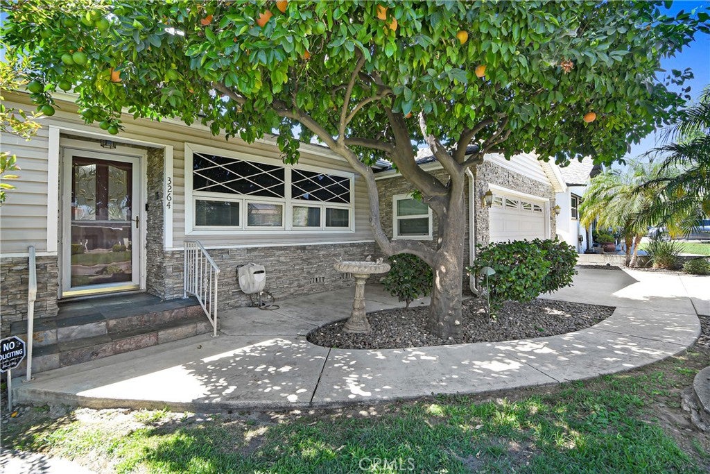 3264 N Lugo
