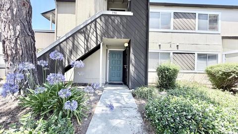 Photo of 2309 Mclaughlin Avenue, San Jose, CA 95122 (MLS # ML82051265)