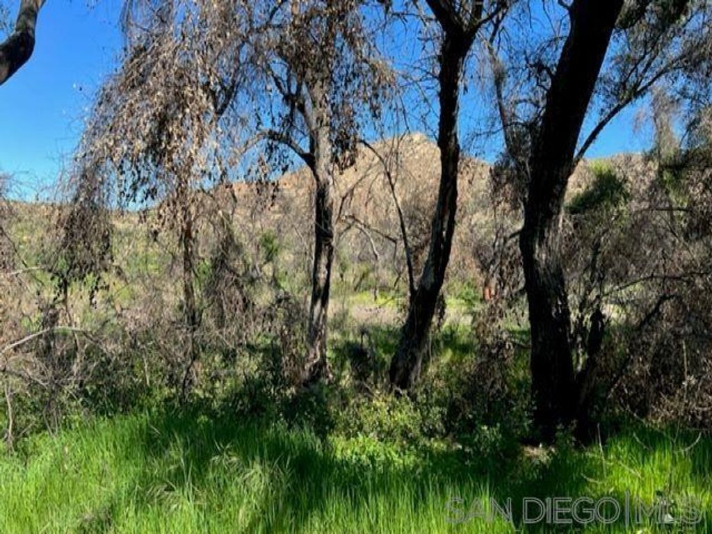 listing image 130728854170494057138