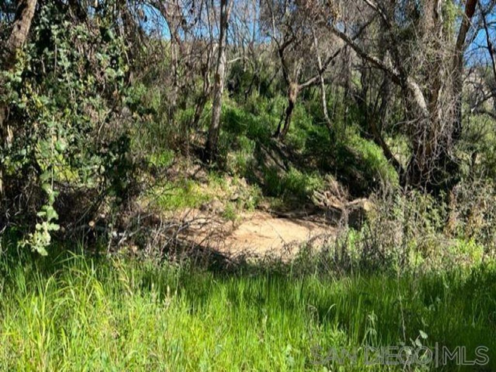 listing image 130721222830000288467