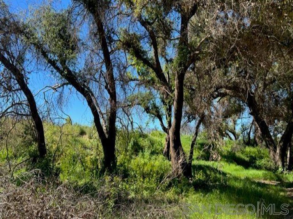 listing image 130725151826168626929