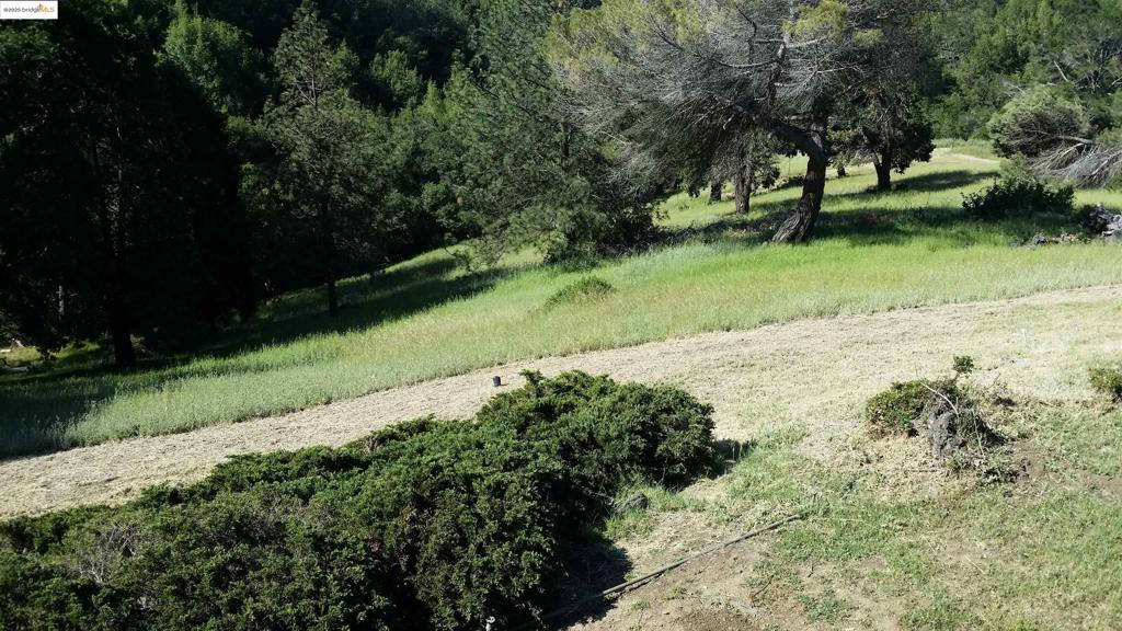 Discover a spectacular 4.73 acre lot nestled in the Oakland Hills near Golf Links Rd, offering a unique opportunity to build your dream home in pristine natural setting. This expansive property provides an immersive wildlife experience, with wild turkeys, deer, jack rabbits freely roaming the landscape. The land's proximity to Chabot Golf Course adds to it's appeal, offering convenient access to a local recreational amenity. With views of the Bay Area, this vacant parcel presents an exceptional canvas for your future residence blending natural beauty and potential for personal development. The surrounding ecosystem is rich with wildlife. Potential landowners can enjoy observing these fascinating creatures while appreciating the serene environment of this remarkable Oakland Hills property.