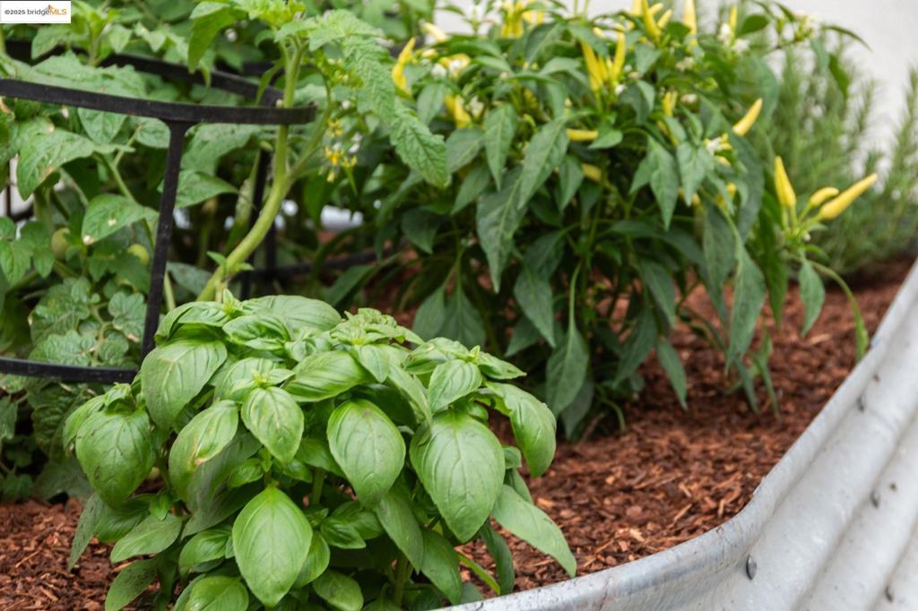 EL CERRITO - Residential