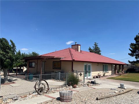 10675 Paramount Rd Phelan CA 92371