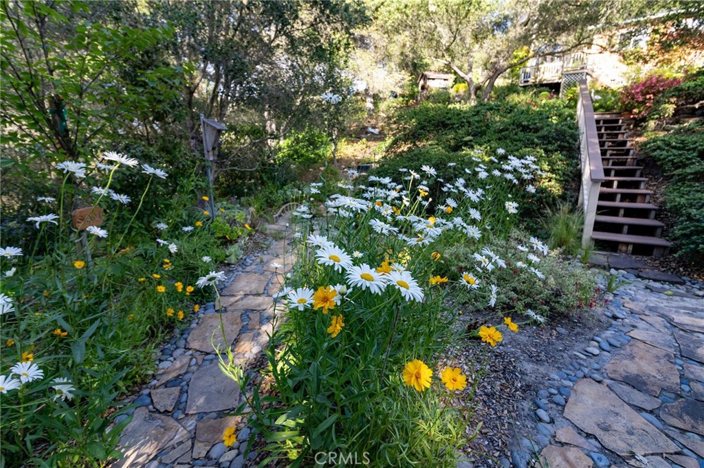 East of 101(500) - Residential