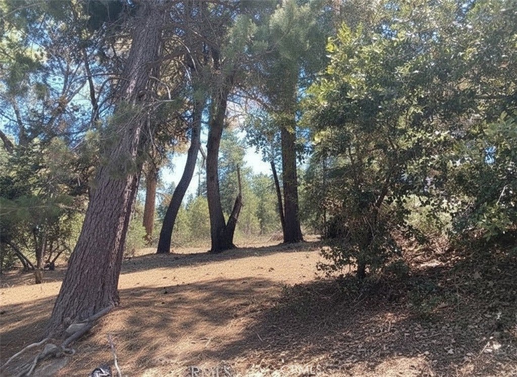 1102 Chateau Drive