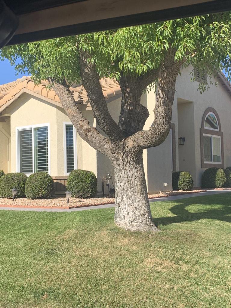 6063 Pebble Beach Drive