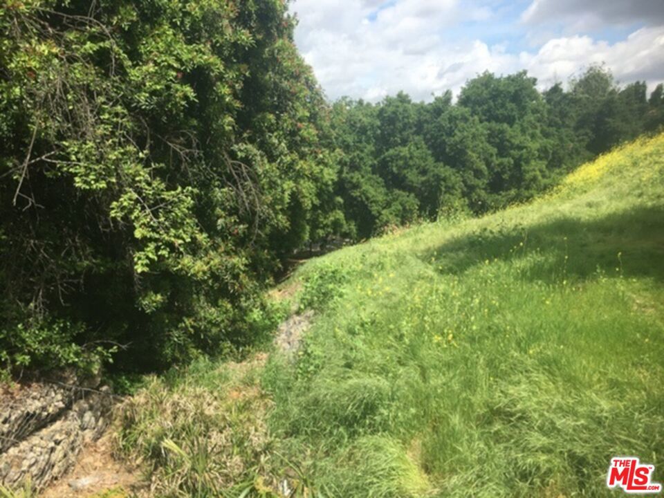 0 Aster Trail Rd.