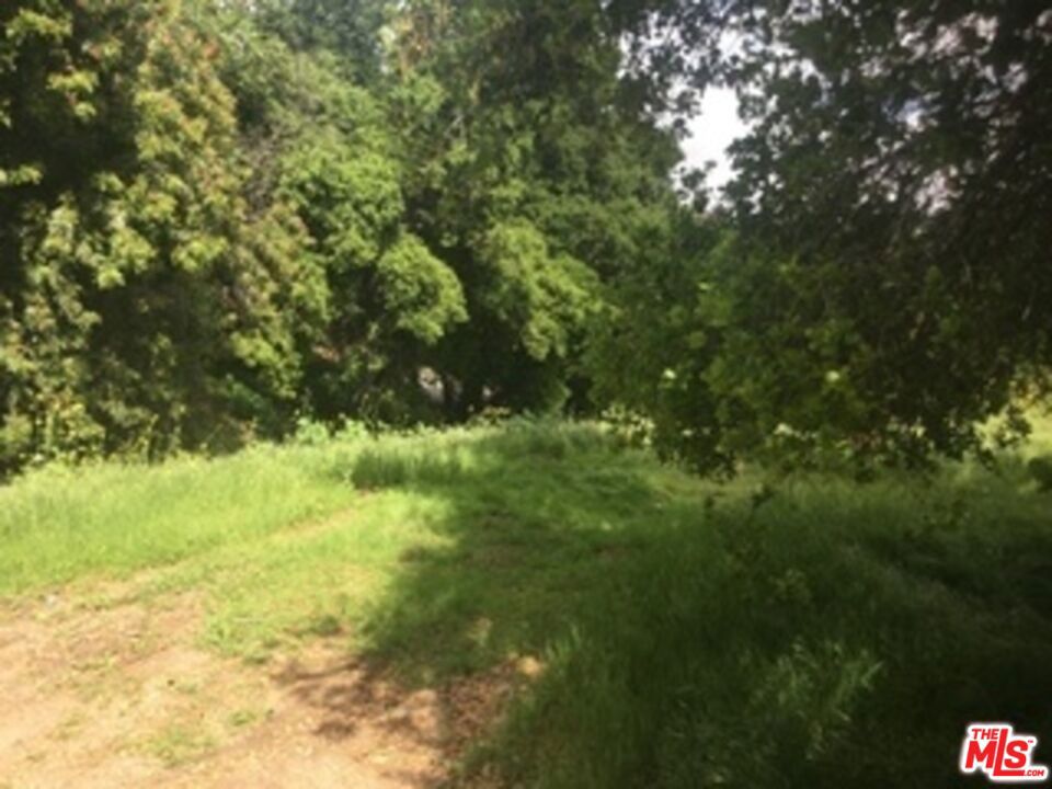 0 Aster Trail Rd.