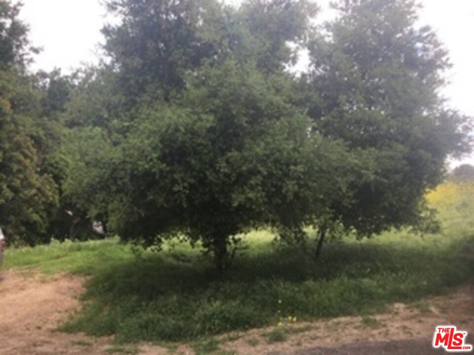 0 Aster Trail Rd.
