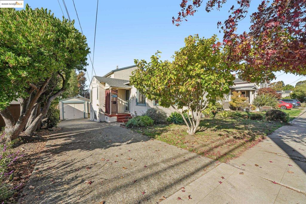 FAT APPLES - Residential