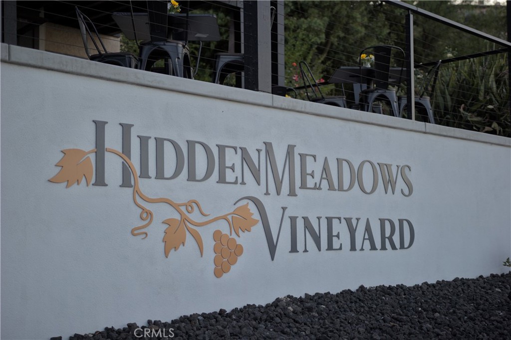 28572 Meadow Mesa Lane