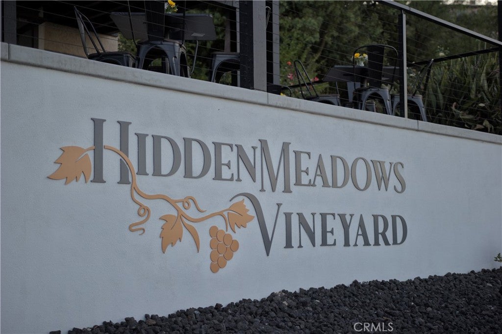 28572 Meadow Mesa Lane