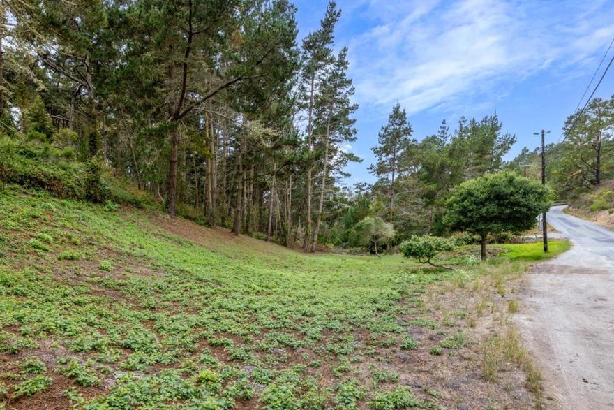 This 5-acre residential lot is in the coveted Jack's Peak area of Carmel. Situated on the south side of Aguajito, just before Loma Alta, this property offers privacy and natural beauty. A well and septic will be needed. Electricity is available at the street and propane is the option for those who want gas. Bring your vision and imagination to explore the possibilities this property has to offer. Enjoy the proximity to downtown Carmel, Pebble Beach, Monterey, pristine beaches, world-class golf, fine dining, and shopping, all just minutes away.
