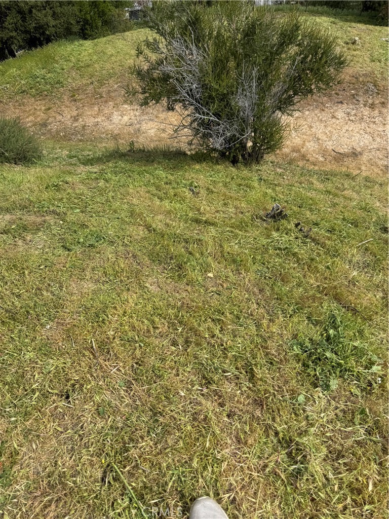 0 0
