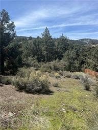 Photo of 2029 Zermatt Drive, Pine Mountain Club, CA 93222 (MLS # SR26117548)