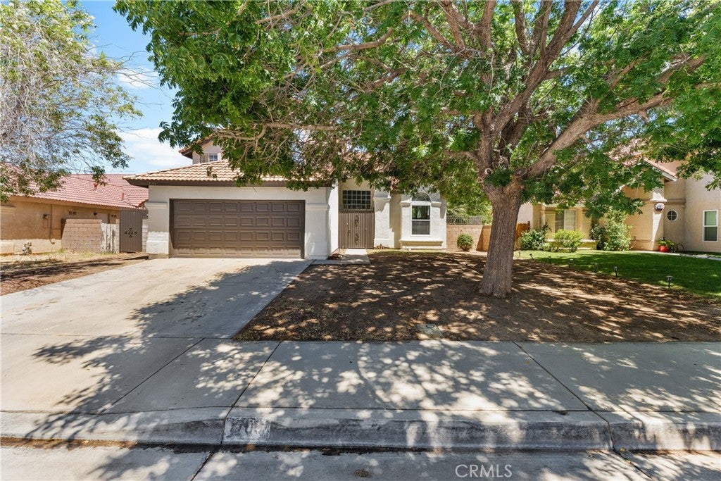 709 Whitlatch