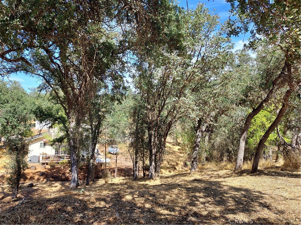 Nice lot with nice homes in the area. Lot does slant down from street. Water and Electrical is at the street. Close to the Lake, Shopping. Parks