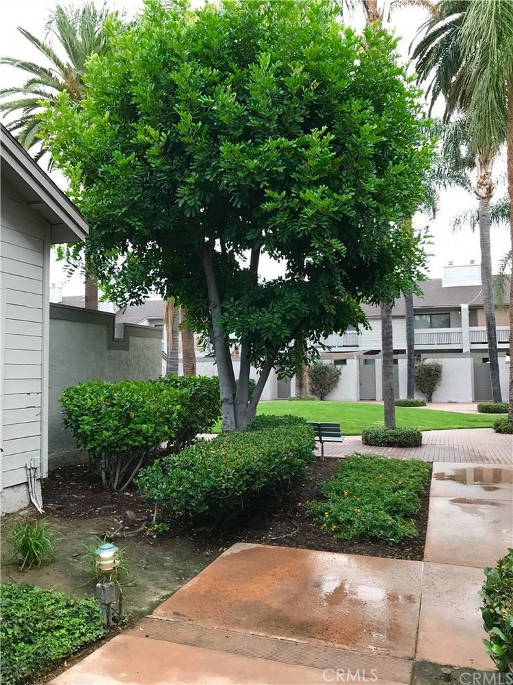 Chapman Villas (CHPV) - Residential Lease