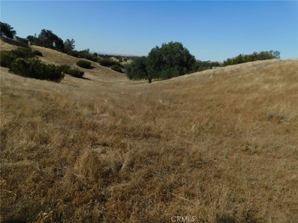 7878 O'Donovan Road