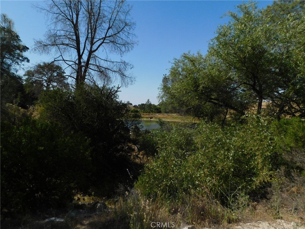7878 O'Donovan Road