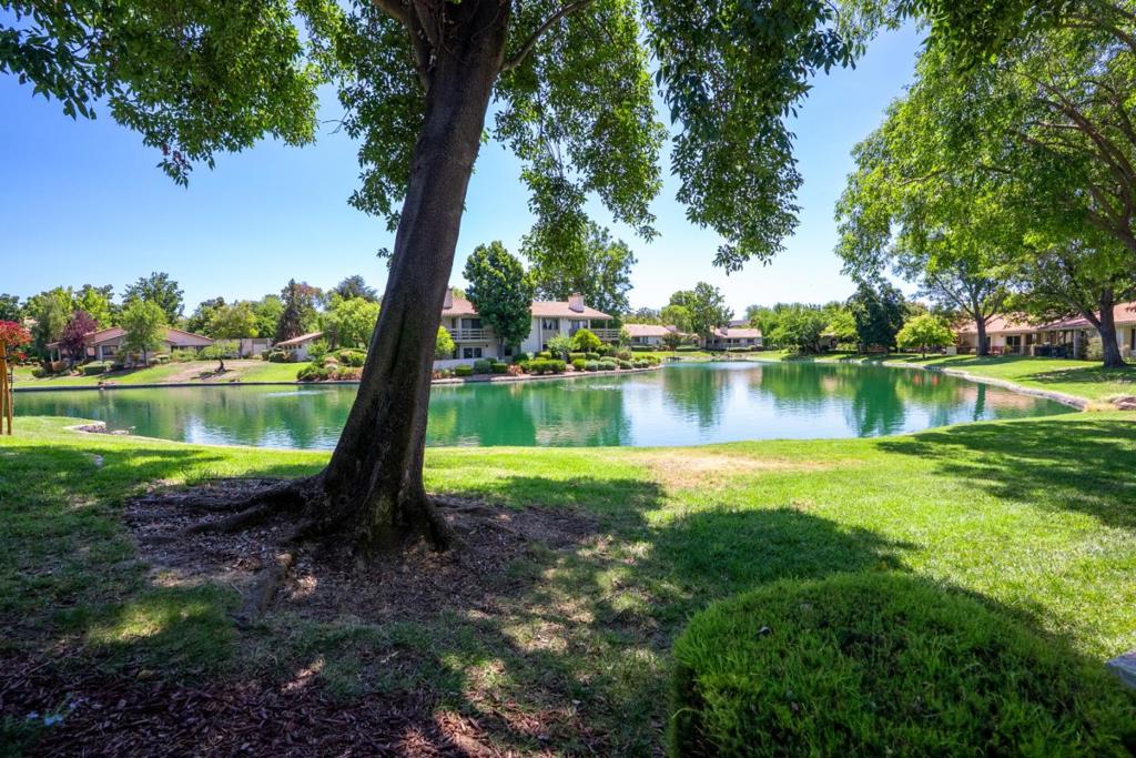 Enjoy peaceful lakeside living in this beautifully updated condo in the Villages Golf and Country Club, San Jose's premier 55+ gated community. With nearly 1500 sq ft of light-filled space, this home features a spacious living room with a brick fireplace that walks out to an enclosed veranda with spectacular views of the lake, trees and meticulously maintained grounds. The kitchen features granite counters, an induction cooktop, farmhouse sink, a breakfast bar and a cozy casual dining nook. Off the kitchen is the formal dining room that opens to a serene patio and zen garden. The primary suite offers views of the lake with a luxurious bathtub and stall shower. Set against a backdrop of lake and mountain views, this home blends tranquility with resort-style amenities including golf, pool/spa, tennis, fitness center, trails, clubhouse and social events. Perfect retreat for active adults seeking beauty, comfort and connection. Tour today!