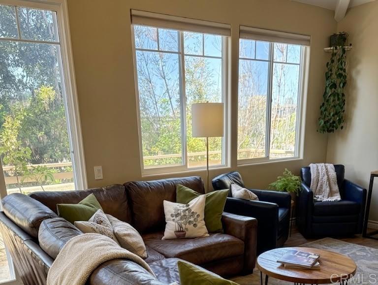 1147 Hornblend Street