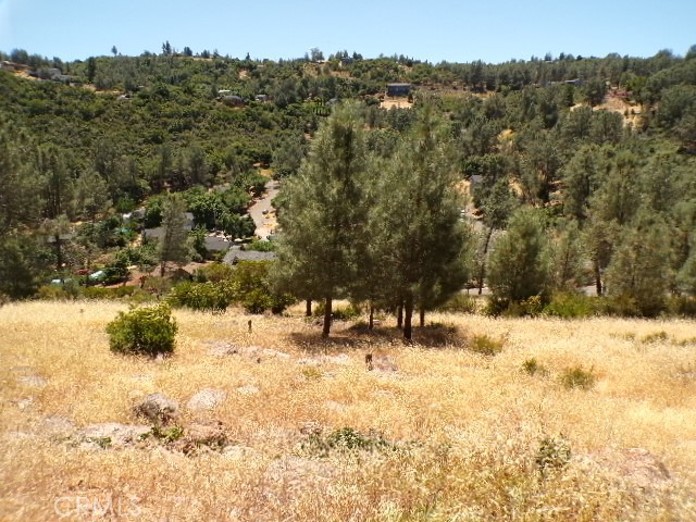 This is 1 of 2 lots available side by side that can make up a half acre, nice view of the valley and mountains, lots of wildlife, deer, turkeys, pheasants and more, enjoy fishing, boating, sailing kayaking, shopping close by, good schools, fine dining, entertainment and a short drive to Buckingham Golf and Country Club