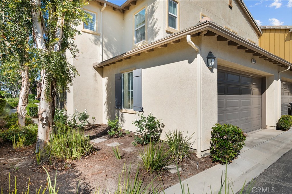15752 Agave