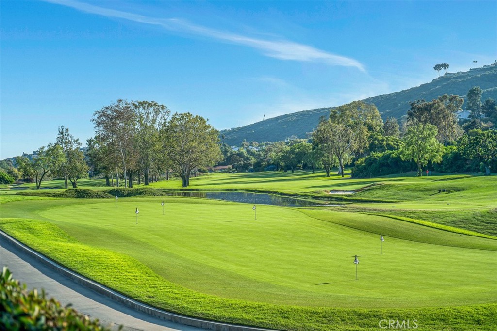 El Niguel Greens (ENG) - Residential