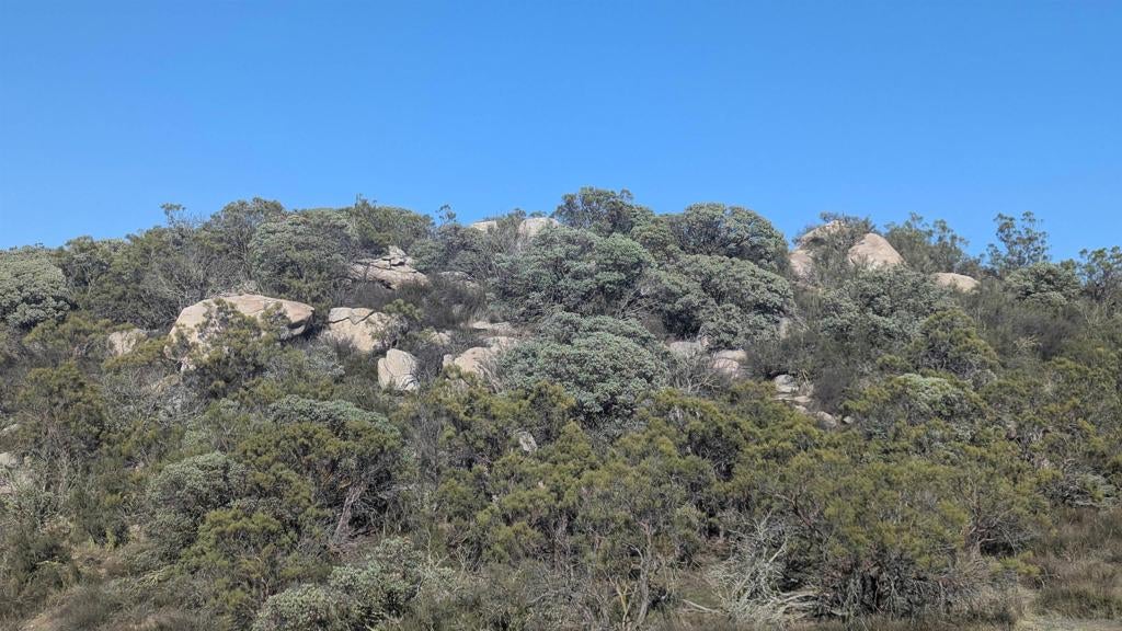 778 Crazy Horse Canyon