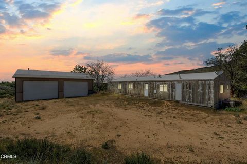 Photo of 5050 Clayvale Street, Acton, CA 93510 (MLS # V1-35643)