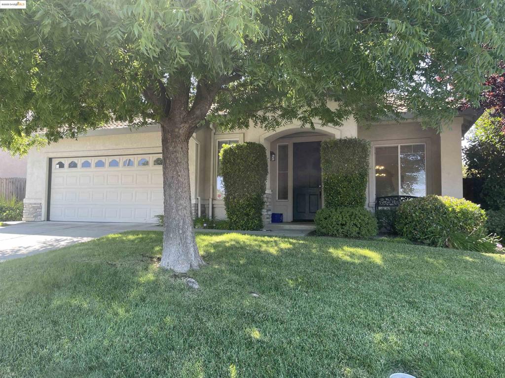 This Is Pride of Ownership! Well Maintained! This Beautiful Single Story 3 Beds 2 Bath Home Offers An Open Floor Plan With Updated Luxury Vinyl Waterproof Flooring throughout! Kitchen Includes Beautiful Granite Counters With Updated Backsplash And Smart Stove With Built In Air Fryer: Other Features Include A Spacious Laundry Room With Added Shelves, Gas Fireplace, Dual Pane Windows, Low Maintenance Back Yard Wired For TV And Cable Ready For Your Great Outdoor Gatherings! An Over Sized 2 Car Garage with Built in Cabinets! Great Location! Walking Distance to Dining, Safeway, Walgreens Walmart And Bart!