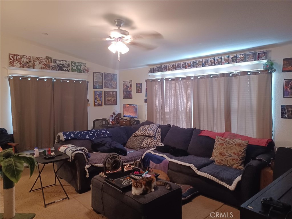24691 Carl Road