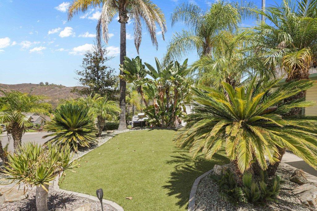 12651 Ridgeton