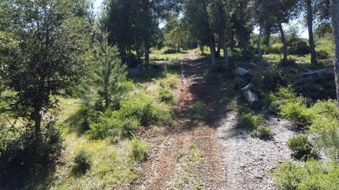 0 Toyon Mountain Ln Julian CA 92036